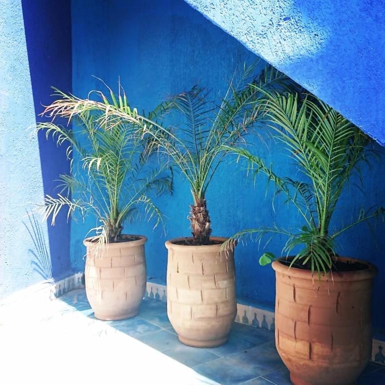 Villa Dar Massaneh Essaouira Esterno foto